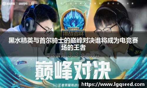 黑水精英与首尔骑士的巅峰对决谁将成为电竞赛场的王者