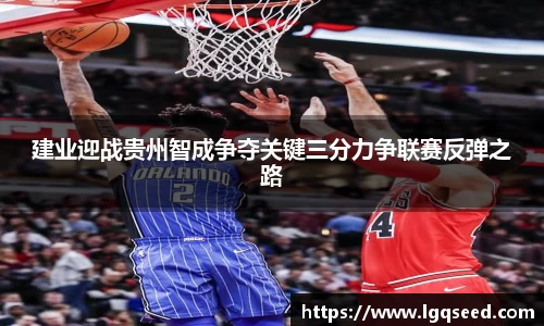 星空综合官网