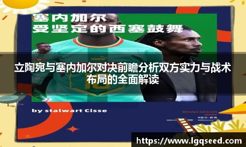 星空娱乐