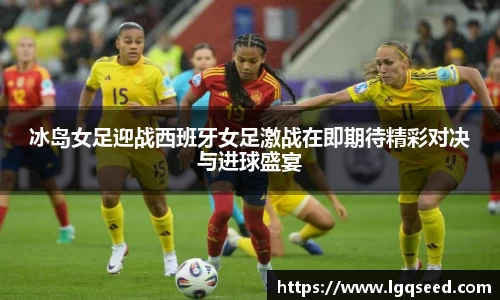星空综合官网